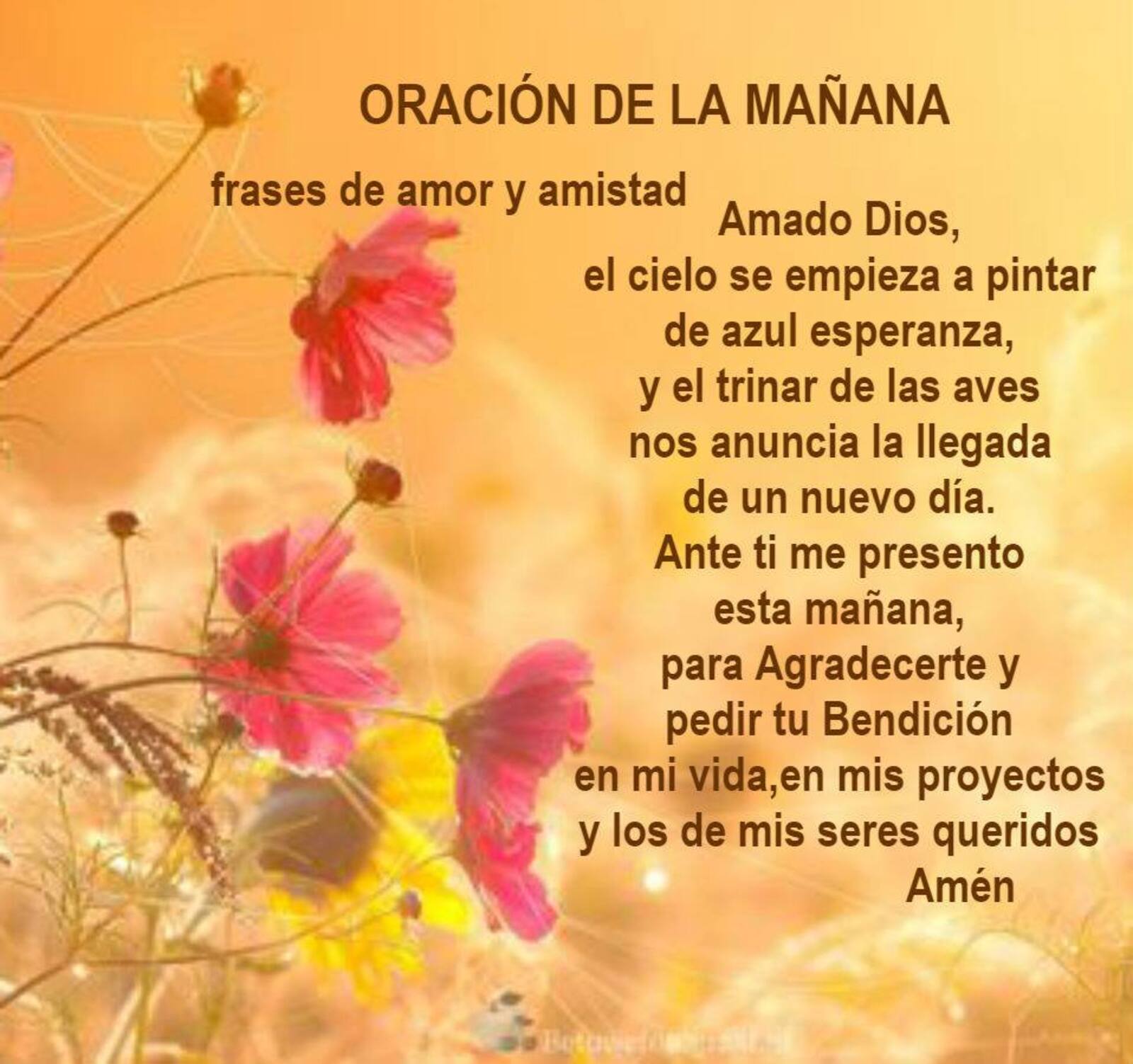 Oración de la mañana