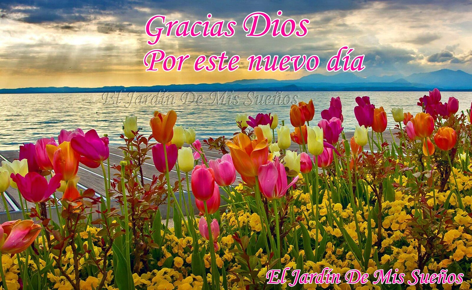 Por este nuevo día gracias Dios