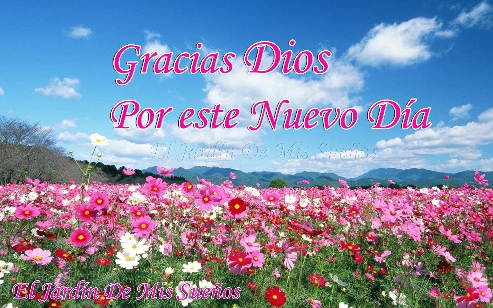 Primavera Gracias Dios por este nuevo día