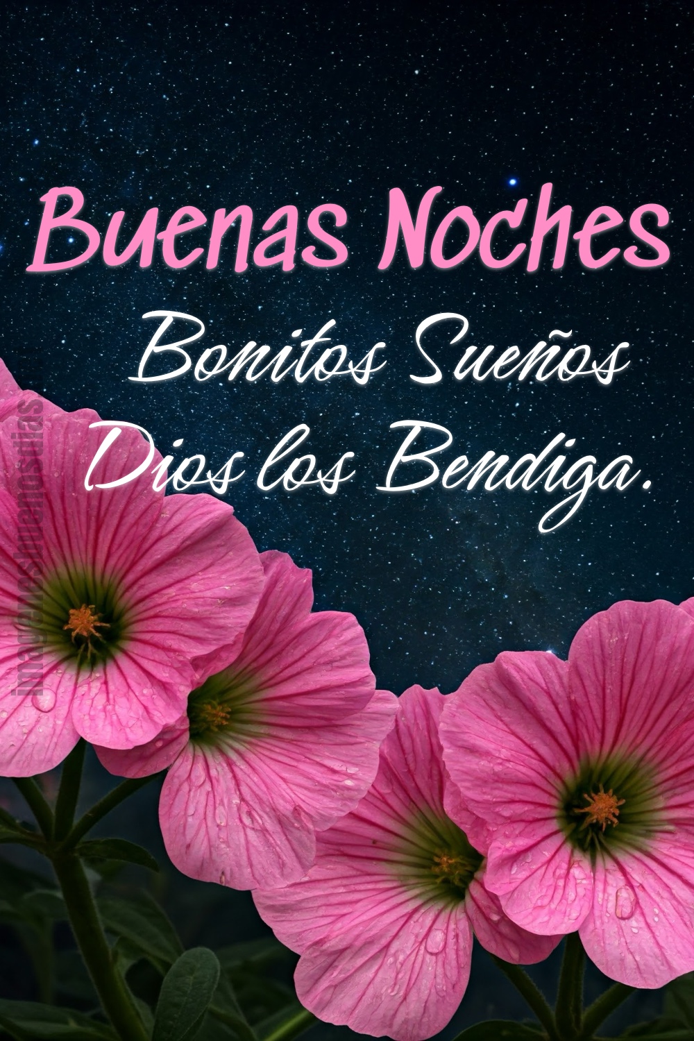 Buenas Noches, Bonitos Sueños, Dios los Bendiga.